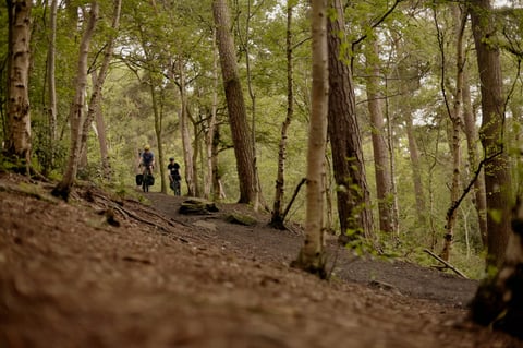 Two riders on bikepacking gravel bikes ride along a leafy woodland track on the Meanwood Valley Trail.