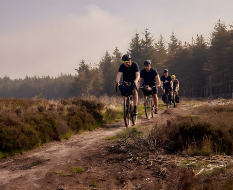 Four riders with bar bags ride single file along a heather track by pine forest on the Tour de Restrap overnighter.