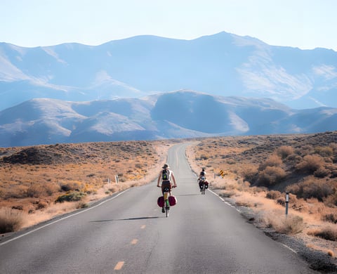 Two loaded touring cyclists ride a straight desert road towards mountains, from the Cycling Through A Pandemic book.