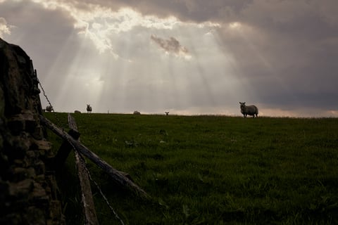Sheep on a hilltop under breaking cloud and sunbeams beside a dry stone wall on the Leeds to Lyme Regis ride.