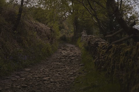 Rough stone-strewn track between a mossy dry stone wall and a bank of bluebells, on the Leeds to Lyme Regis route.