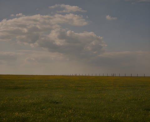 Open grassland scattered with yellow wildflowers under a cloudy sky on the Leeds to Lyme Regis bikepacking ride.