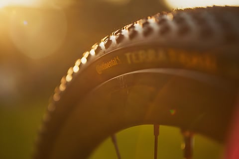 Close-up of a Continental Terra Trail tyre lit by low evening sun.