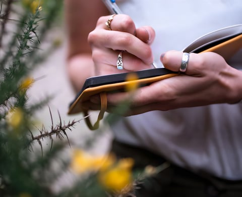 Close-up of Immy of @immycycles writing in a small notebook beside flowering gorse on a ride.