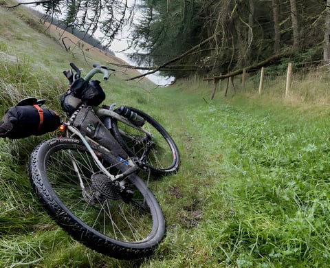 Muddy loaded bikepacking bike lies in long grass beside a forest fence line on the Second City Divide route.