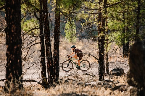 Rider on a green Orbea Terra gravel bike rides a dirt track through pine trees.