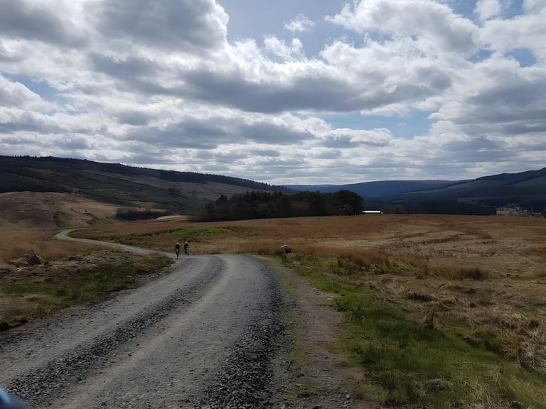 Dirty Reiver 2017 riders far ahead on a wide gravel road curving across open moorland and forested hills.