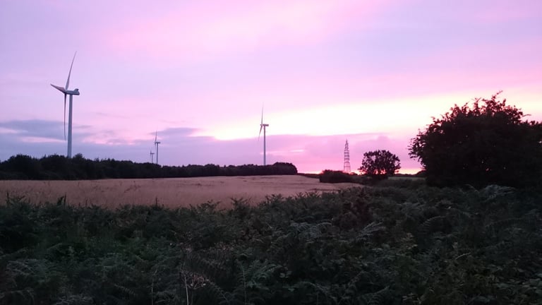 Pink dusk sky over wind turbines and a ripe crop field near Swaffham, Norfolk, on the Peddars Way ride.