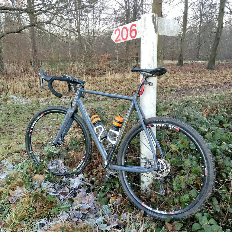 Grey Mason Bokeh on Stan's Grail rims leaning on a signpost marked 206 in frosty woodland.