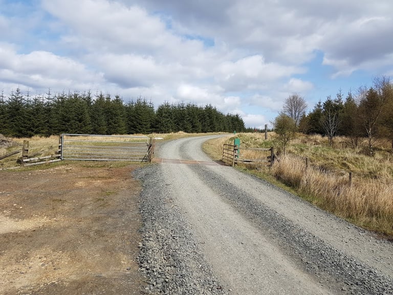 Gravel forestry road curving past a cattle grid and gates, the kind of UK gravel track the article has in mind.