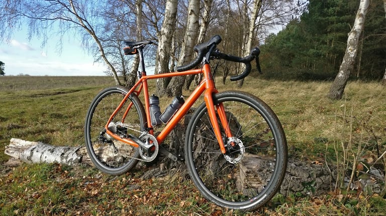 Orange Mason Bokeh, BikesEtc Adventure Bike of the Year 2017, leaning on a log on open heathland.