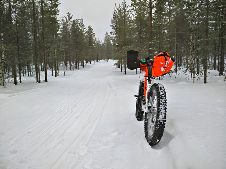 Fat bike parked on a snow-covered track through pine forest on the Rovaniemi 66 fat bike race route in Finland.