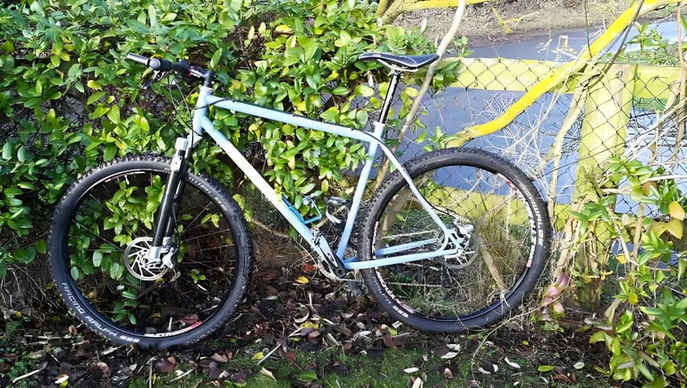 Rigid 29er mountain bike in pale blue with flat bars, leaning against a hedge and a fence.