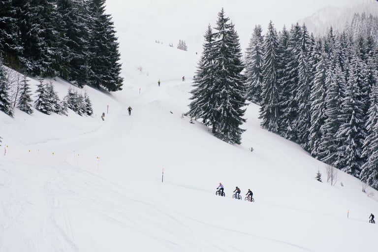 Fatbike riders strung out along a snowy mountain track beside fir trees on the Snow Bike Festival Stage 1 climb.