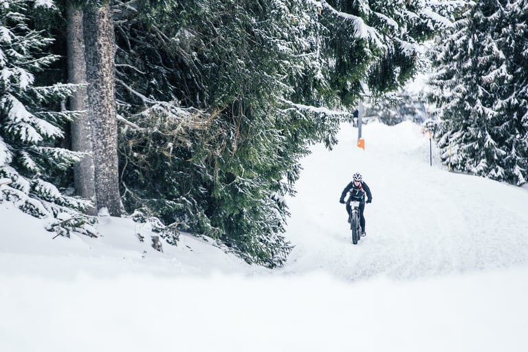 Lone fatbike rider descends a snow track out of the trees on the way back to the valley, Stage 1.