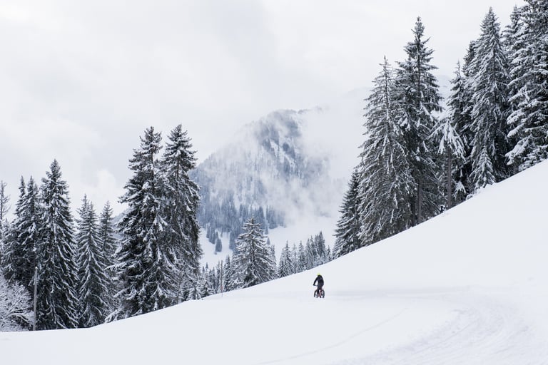 Tiny fatbike rider on a snowy track below mist-covered peaks and spruce trees, Snow Bike Festival Stage 1.