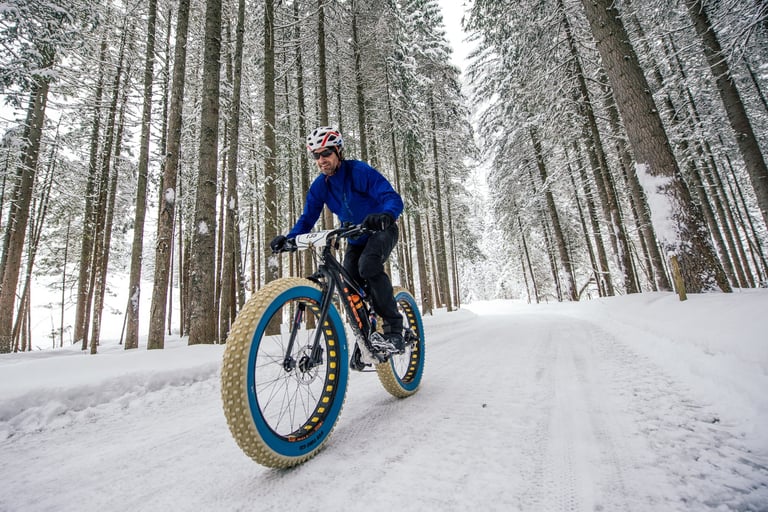 Scott Cornish rides his Trek Farley fatbike along a snowy track between tall pines on Stage 2 of the Snow Bike Festival.