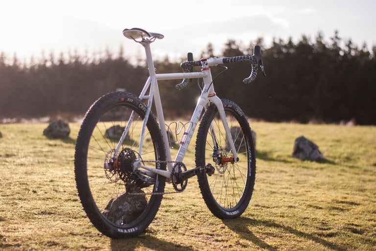 Donard x Victory Chimp bike from the rear quarter, with a Fabric saddle, orange hubs and dark forest behind.