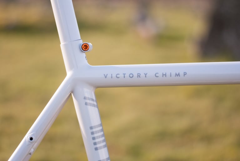 Victory Chimp lettering and Ogham-style stripes on the white top tube and seat tube junction of the steel frame.