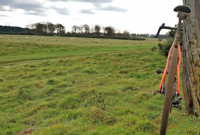 Mason Bokeh with muddy Panaracer GravelKing SK tyres leant against a tree beside a field of grazing sheep.