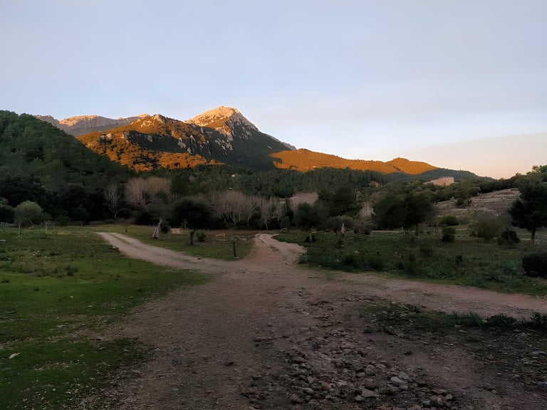 Dirt track forks across a grassy plain at dusk, with the Tramuntana peaks lit orange behind on the Mallorca MTB route.