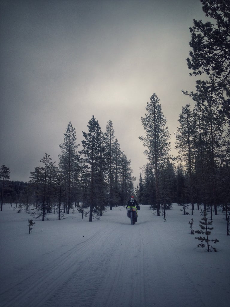 Fat biker rides a snow-packed trail through pine forest in northern Finland during the Rovaniemi winter race.