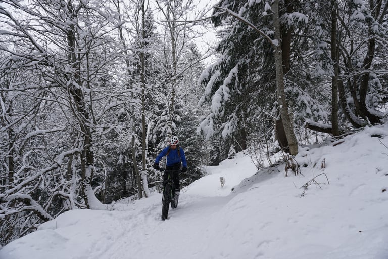 Rider in Gore Primaloft kit on a fat bike on a snowy forest trail, with a dog following behind.