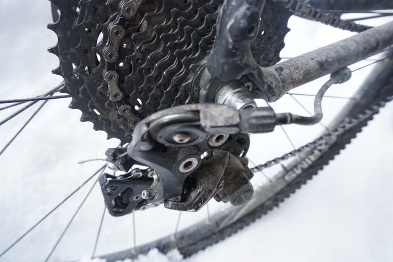 Shimano rear mech with the Wolftooth Tanpan fitted, seen from below against snow with the cassette above.