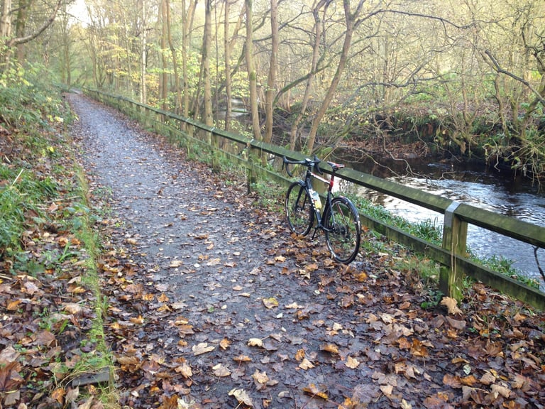 Drop-bar bike leaning on a wooden fence beside a river on a leaf-strewn woodland path in autumn.