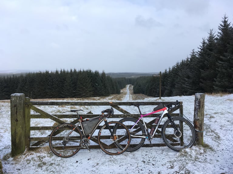 Salsa Cutthroat and a second bike leaning on a wooden gate above snowy conifer plantation in Kielder Forest.
