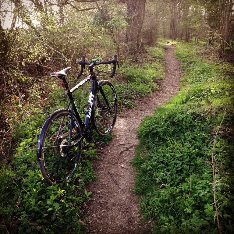 Cyclocross bike on a narrow dirt footpath through spring woodland, an off-road route to work.