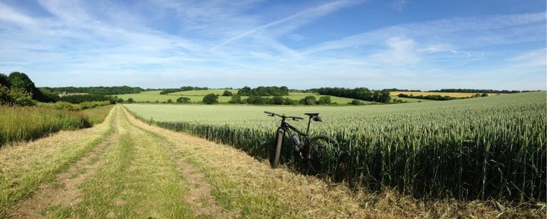Mountain bike propped at the edge of a green crop field beside a grassy byway on a summer commute.