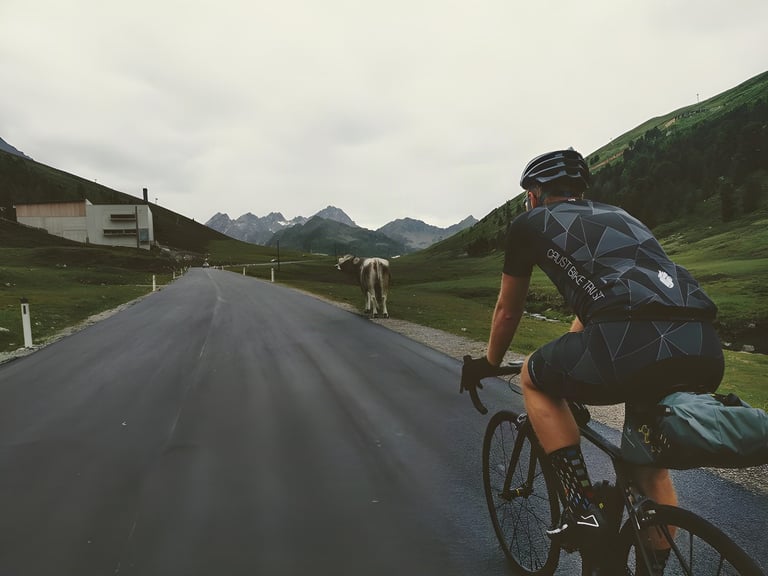 Transalp rider with a saddle pack climbs a quiet Alpine pass road past a cow grazing at the verge.