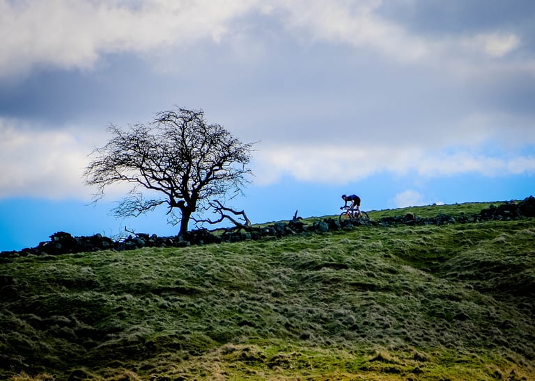 Josh Ibbett rides alone past a bare tree and stone wall on a grassy hilltop at the Dirty Reiver, under a cloudy sky.
