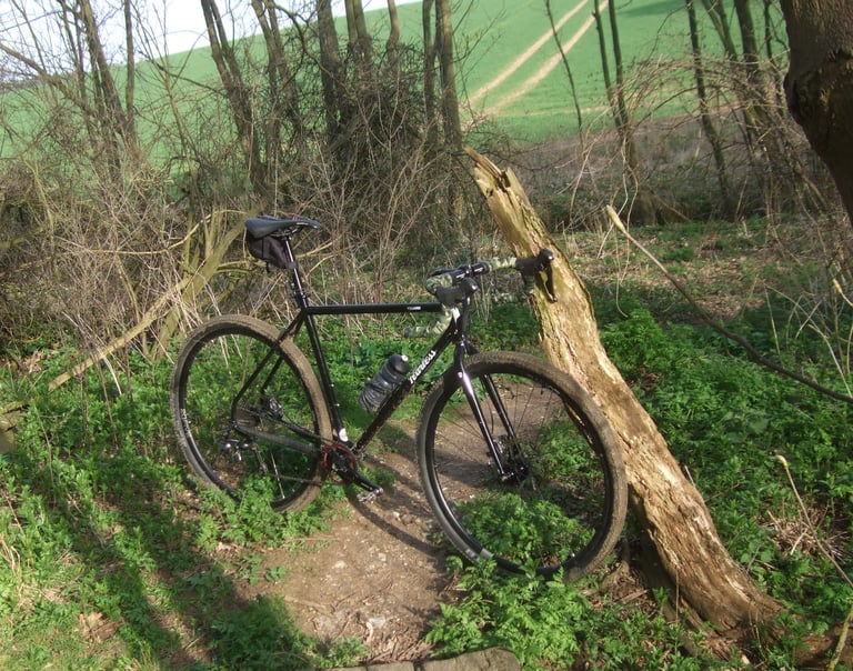 Fearless Vulture leaning on a dead tree trunk at a woodland edge, with a green field rising beyond bare hedgerow.
