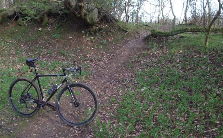 Fearless Vulture steel gravel bike beside a narrow dirt singletrack winding through bare woodland.