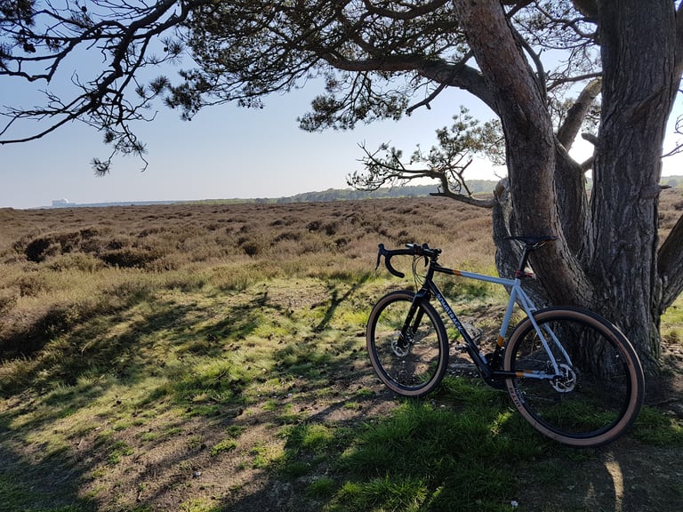 Bombtrack Audax leaning against a pine tree at the edge of open heathland in low sunshine.