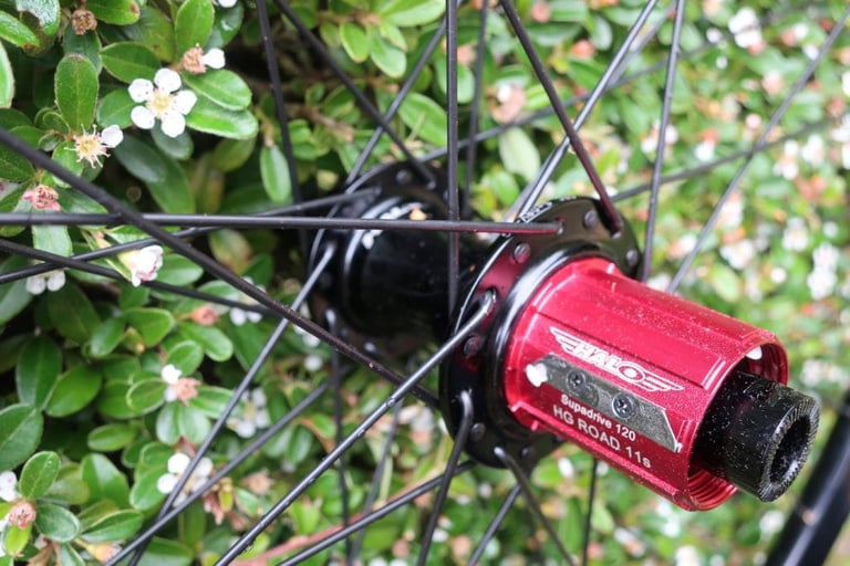 Red Halo Supadrive 120 HG Road 11s freehub body on a Vapour GXC rear hub with a cassette bite guard.