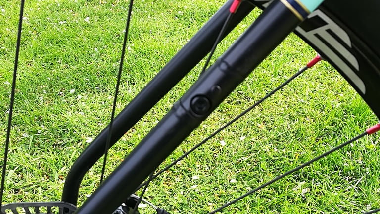 Bolted split in the Darwin One By MT's rear stay for belt-drive compatibility, seen through the spokes.