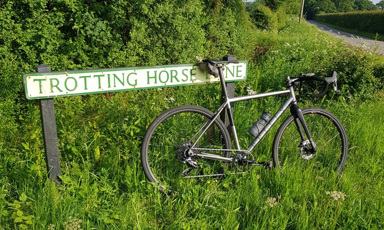Reilly Gradient leaning against a road sign reading Trotting Horse Lane, in long summer grass.