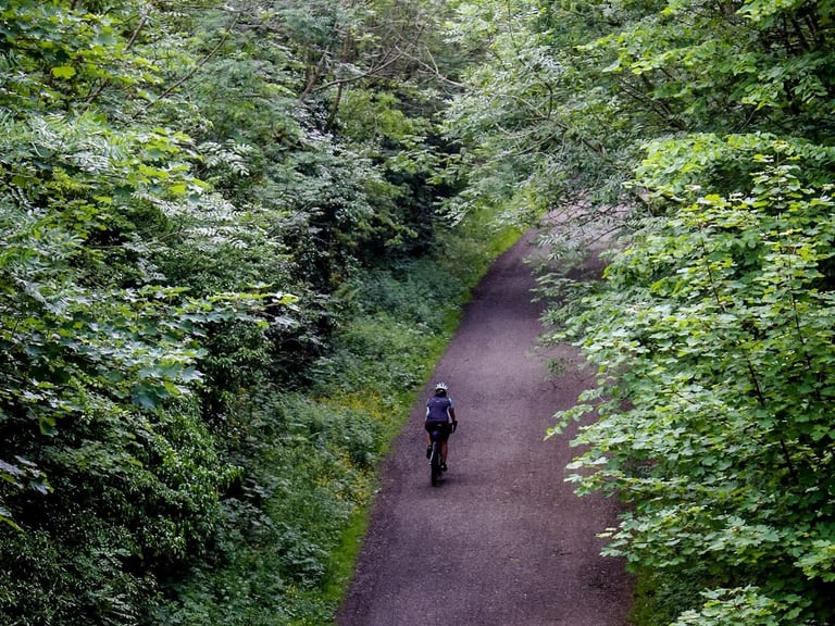 Lone rider on The Distance follows a trail cut between dense green woodland, seen from above.