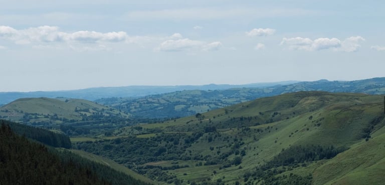 Green wooded hills and valleys stretching away from the Gritfest course near Llandovery, Wales.