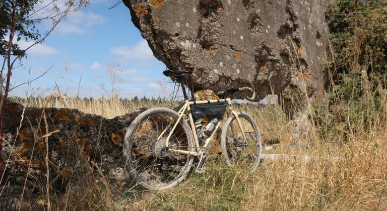 Fearless Vulture custom build leaning against a lichen-covered concrete block beside dry grass, camo bar tape fitted.