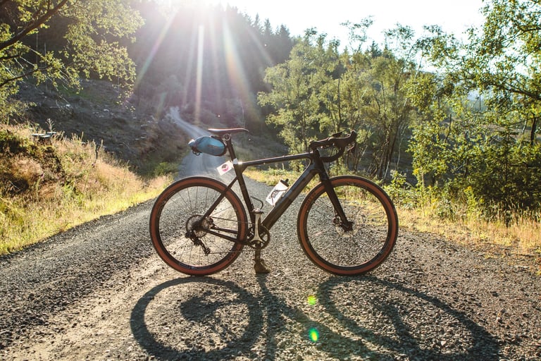 3T Exploro with tan-wall tyres stands on a sunlit gravel road through woodland on the Isle of Arran.