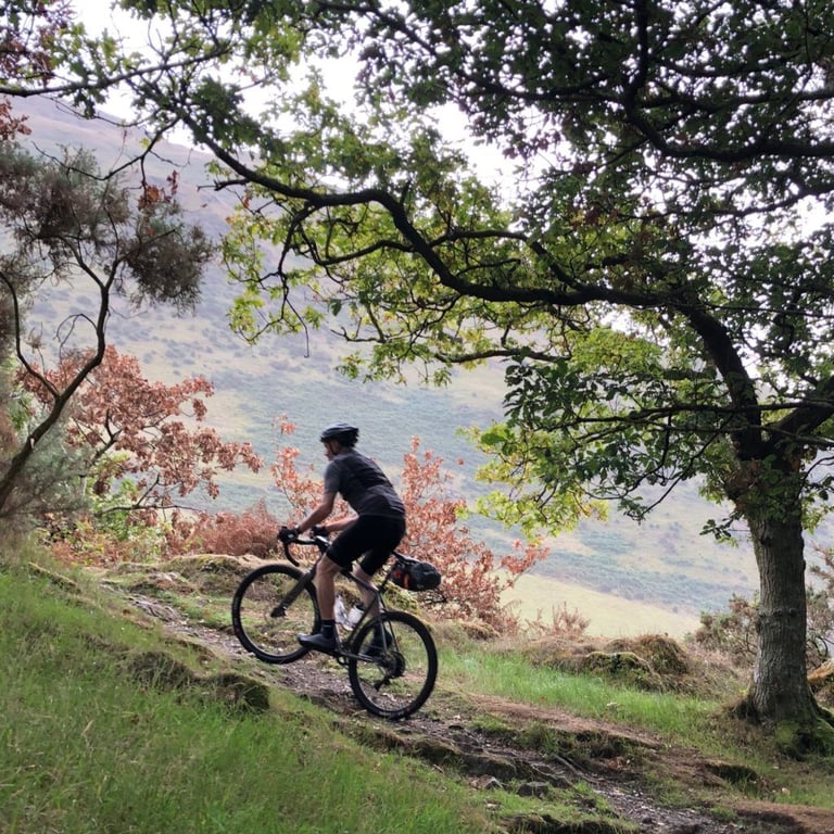 Rider with a saddle pack rides a rocky, rooty trail beneath an oak tree on a Bike Corris ride in Wales.