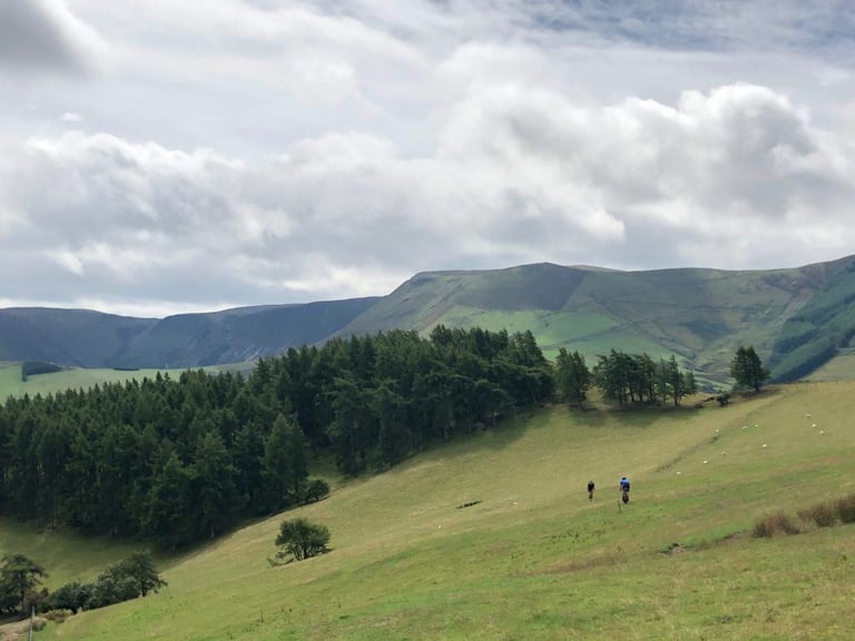 Two riders descend a steep grassy field below a conifer plantation and hills in the Dyfi Forest area.