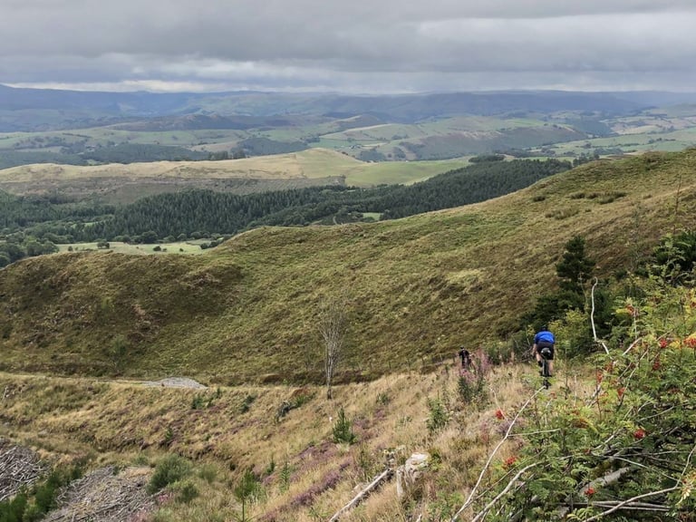 Two riders follow a faint grassy hillside track above conifer plantations and the Dyfi Forest in Wales.
