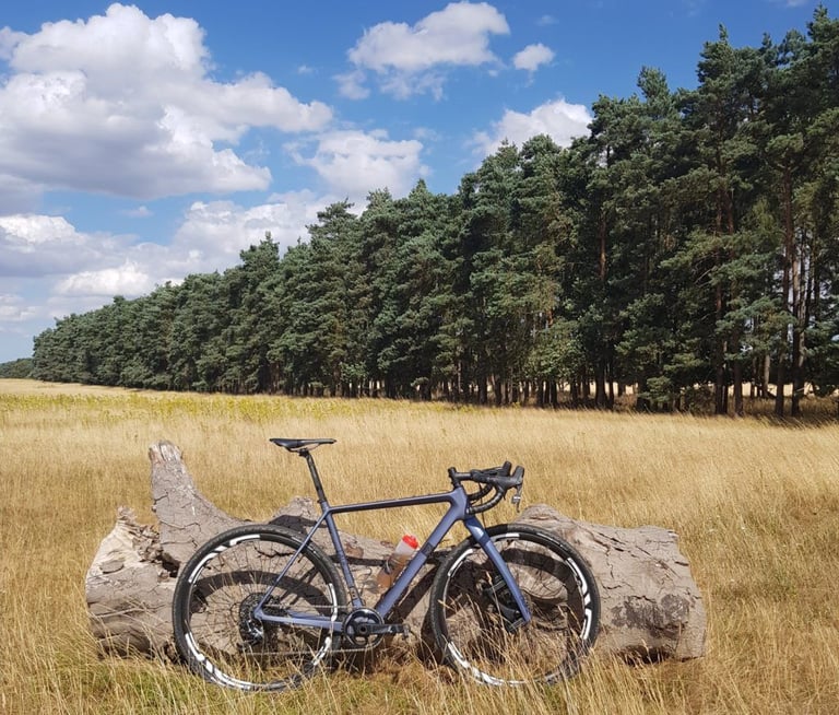 Lauf True Grit propped against a fallen log in dry grass, with a line of pine trees behind.