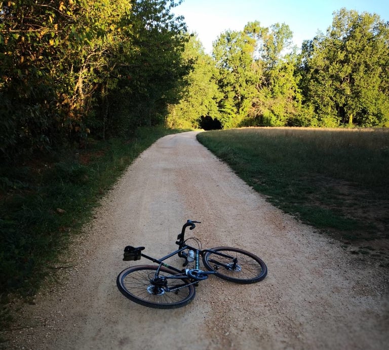 Marin Four Corners lying on a gravel track between woodland and a field on a sunny evening.
