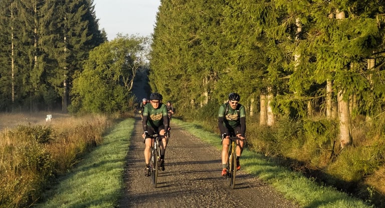 Dirty Boar riders on gravel bikes roll along a smooth forest gravel track in low sunshine.